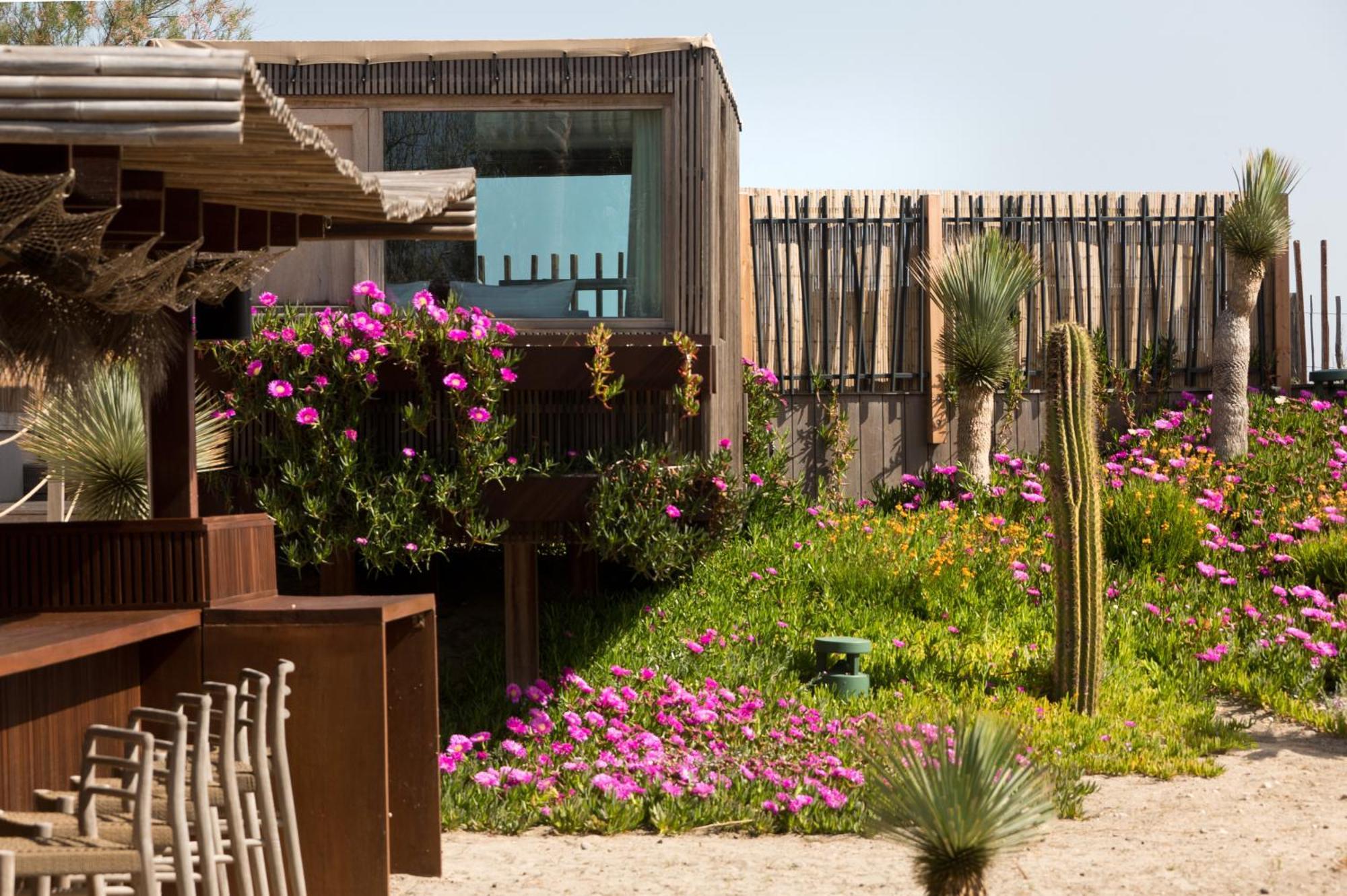Villa Miramar Frontignan Εξωτερικό φωτογραφία